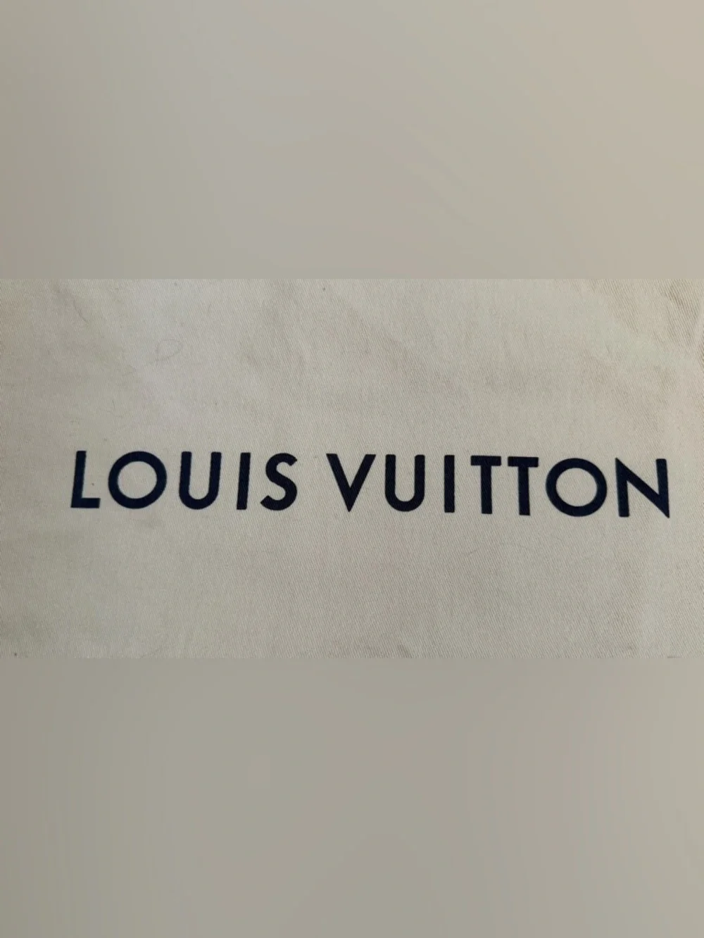 Louis Vuitton louie vuitton